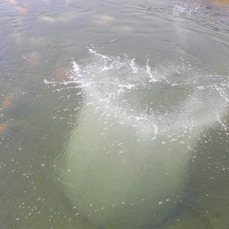 Viveiros de aquicultura