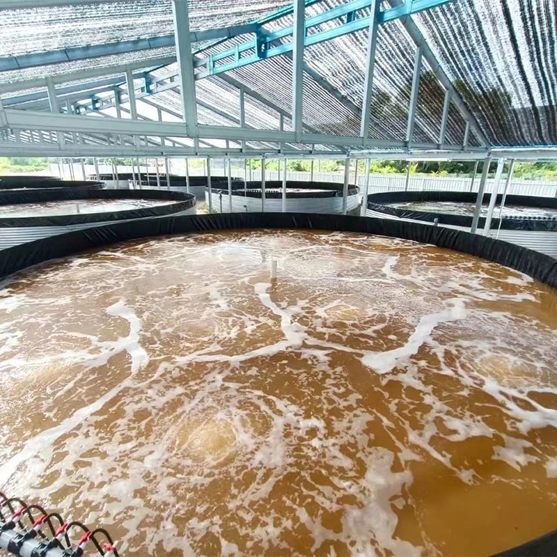 RAS & indoor farming