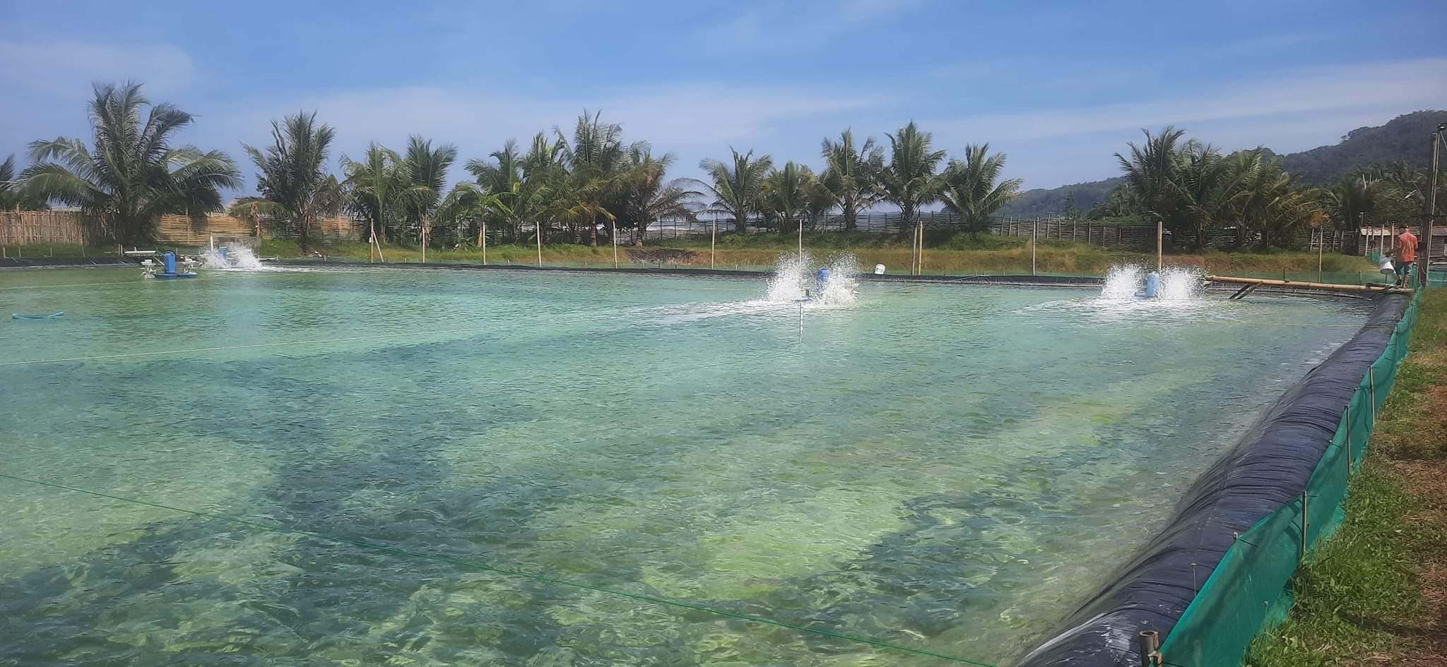 Floating Aerators