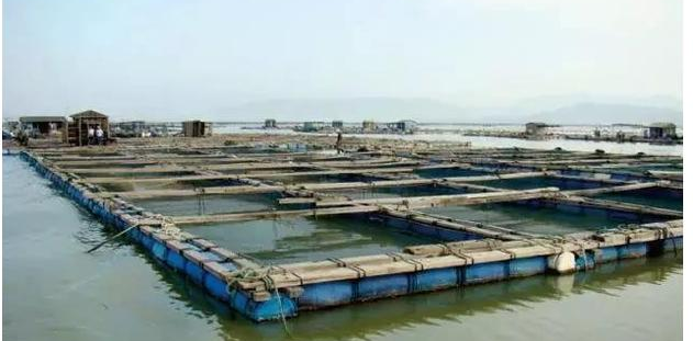 The role of microorganisms in aquaculture environmental remediation