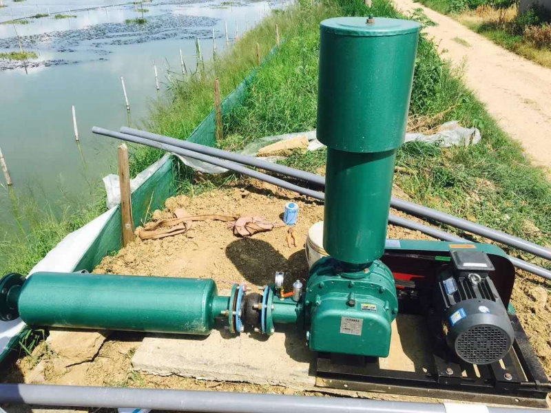 Technology of aeration and flood prevention pool for organic aquatic products in summer