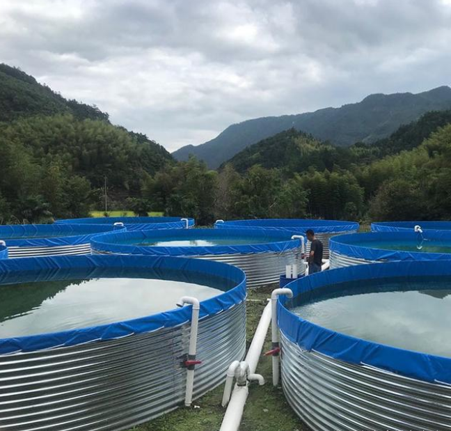 Advantages of galvanized sheet PVC canvas fish pond in modern chemical plant mode