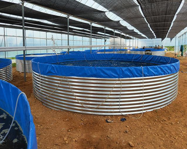 Suggestions and precautions for improvement of galvanized sheet PVC canvas fish pond aquaculture