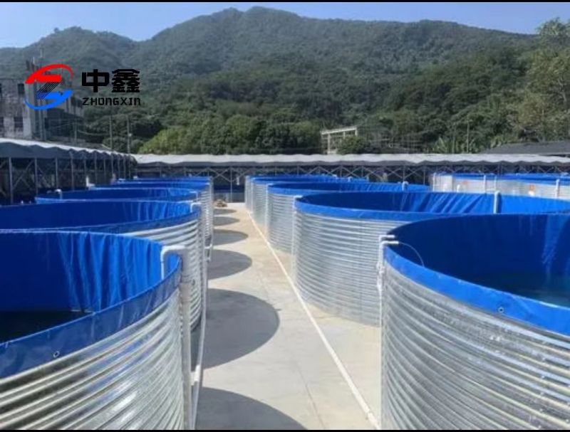 Fish farming in galvanized sheet PVC canvas pond