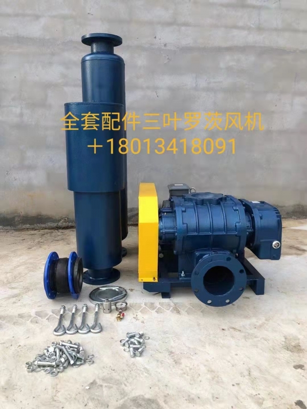 Industrial Application of Roots Blower