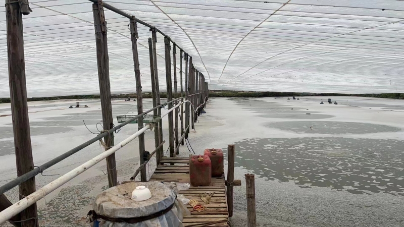 What should aquaculture farmers do to reduce losses due to cooling and heavy rainfall?