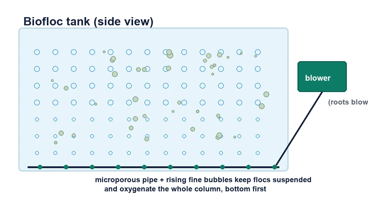 biofloc aeration system diagram