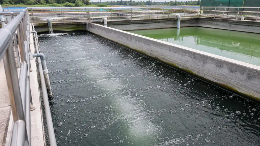 Tanques de tratamento de efluentes com aeração por difusores em fazenda de aquicultura