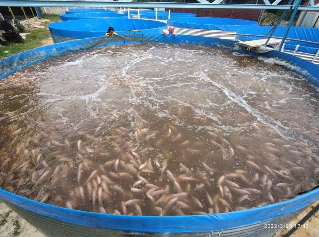 Dissolved oxygen and pH management in aquaculture