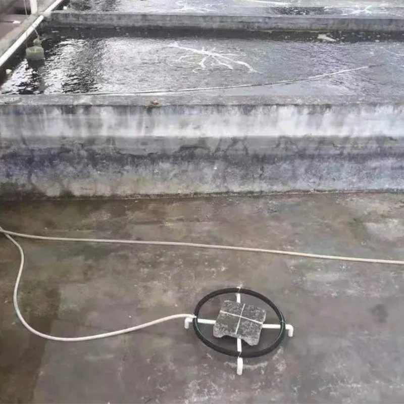 Fish Disease Prevention and Control: Field Techniques for Prevention, Diagnosis and Treatment