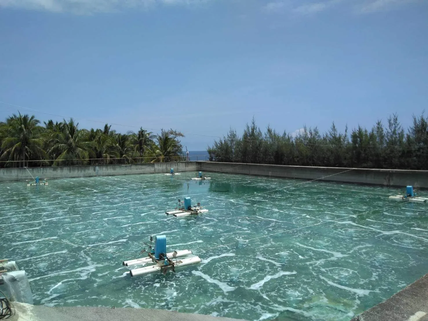 Aquaculture ponds