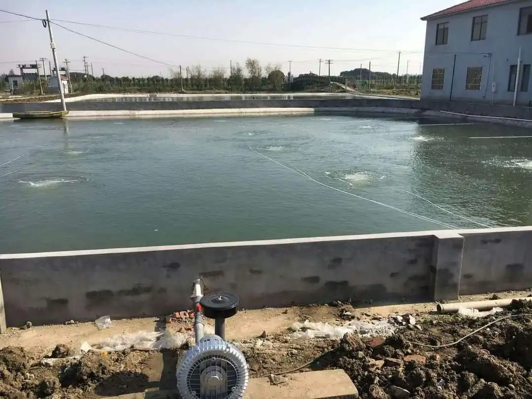 Scientific sediment management is the key to a stable algae ecosystem