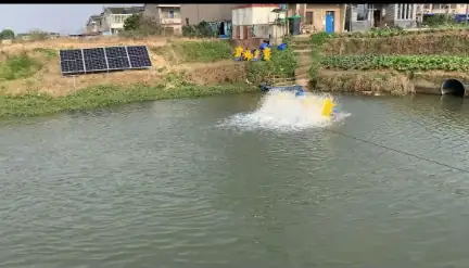 Solar Pond Aeration: Off-Grid Oxygenation for Remote Farms