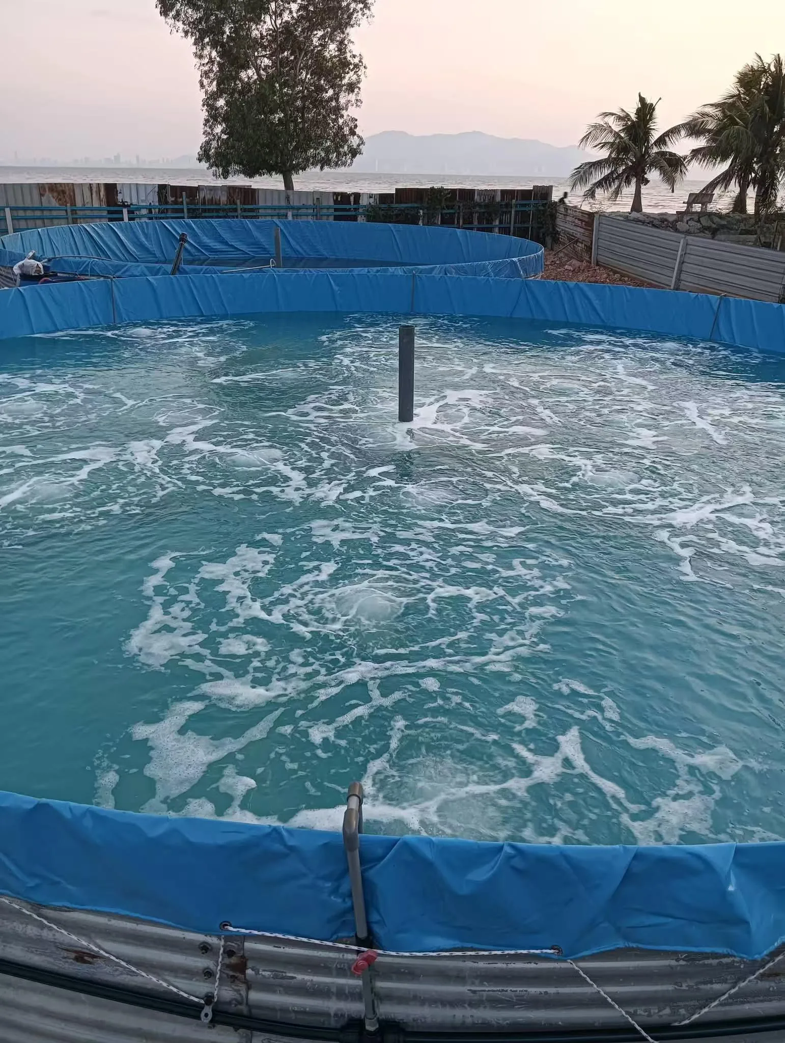 Pond Aeration Techniques: Methods & Components