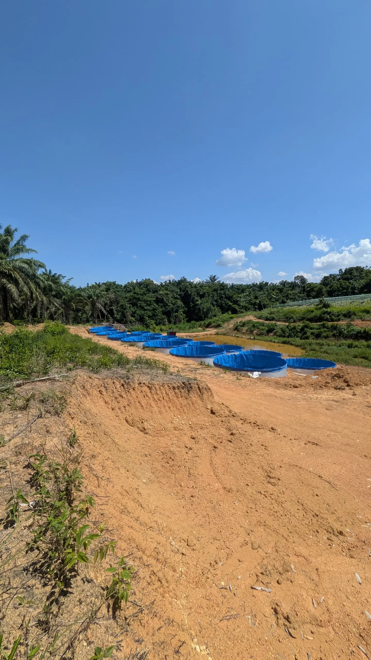 Galvanized Canvas Fish Pond: High-Density Farming Setup Guide