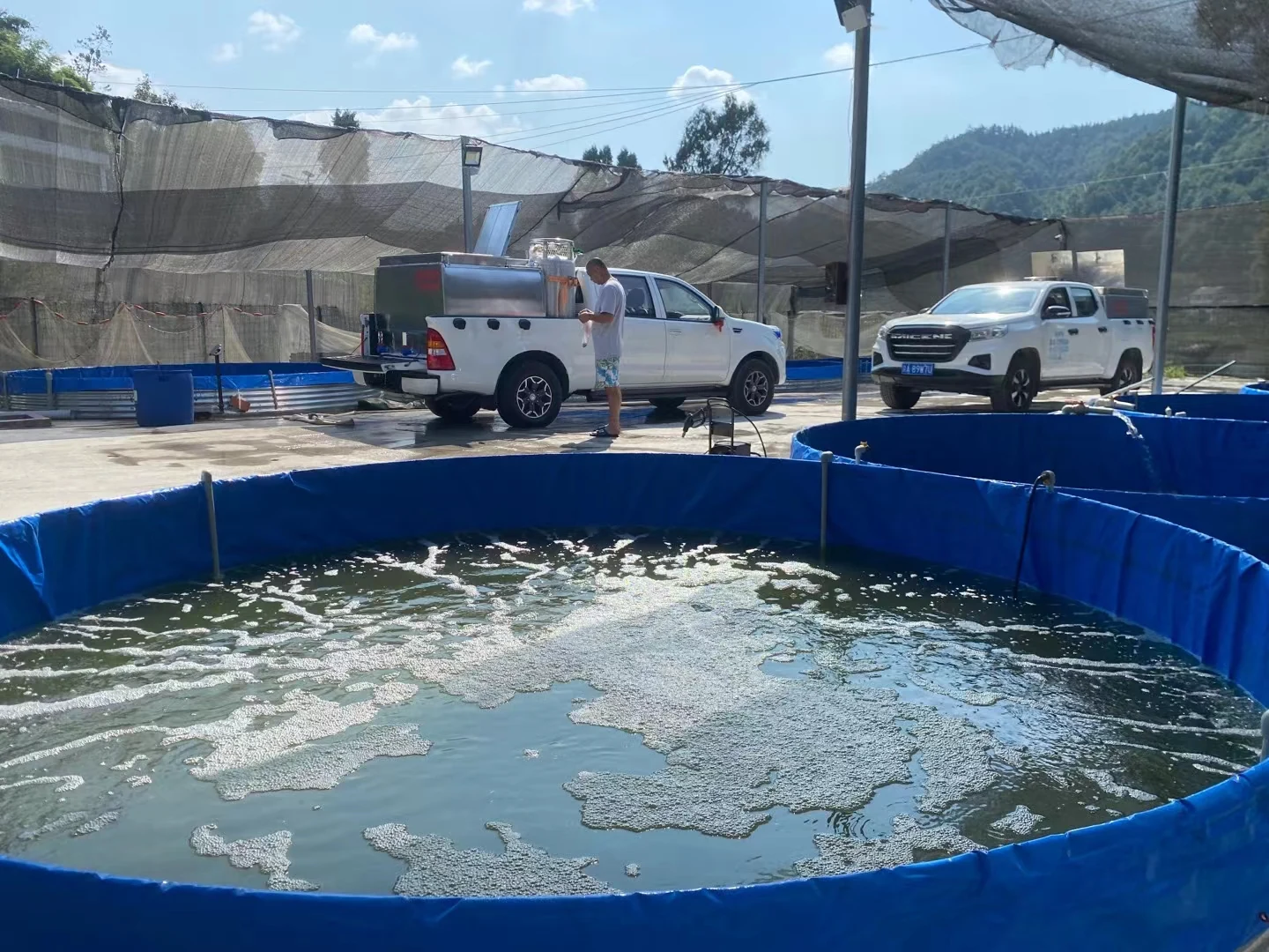 What pH does to fish and water — and how to adjust it