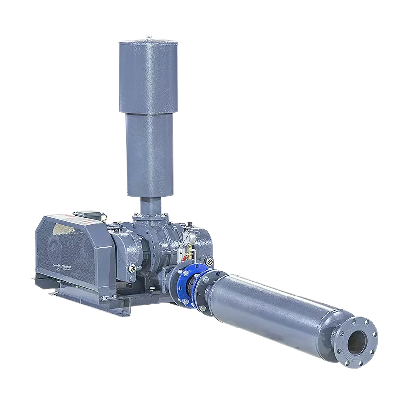 Roots Blower for Material Conveying: Performance Features and Lubrication