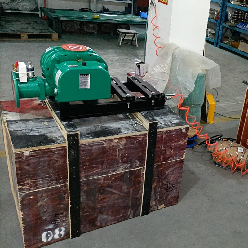 Operating a Three-Lobe Roots Blower Aerator: Installation and Use