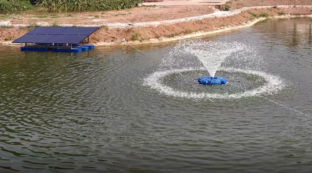 Managing Your Aquaculture Pond Through Severe Winter Weather